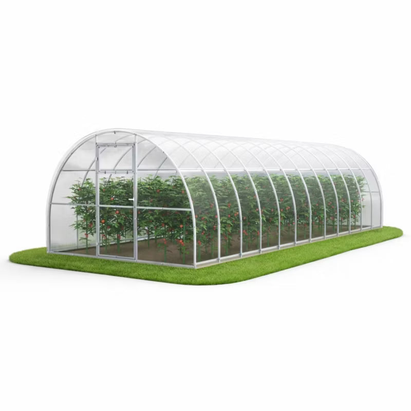 Drivhus Polycarbonat 300x800 cm 24 m² Klar