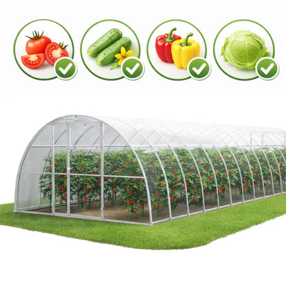 Drivhus i Polycarbonat 350x1200 cm 6 mm 42 m²