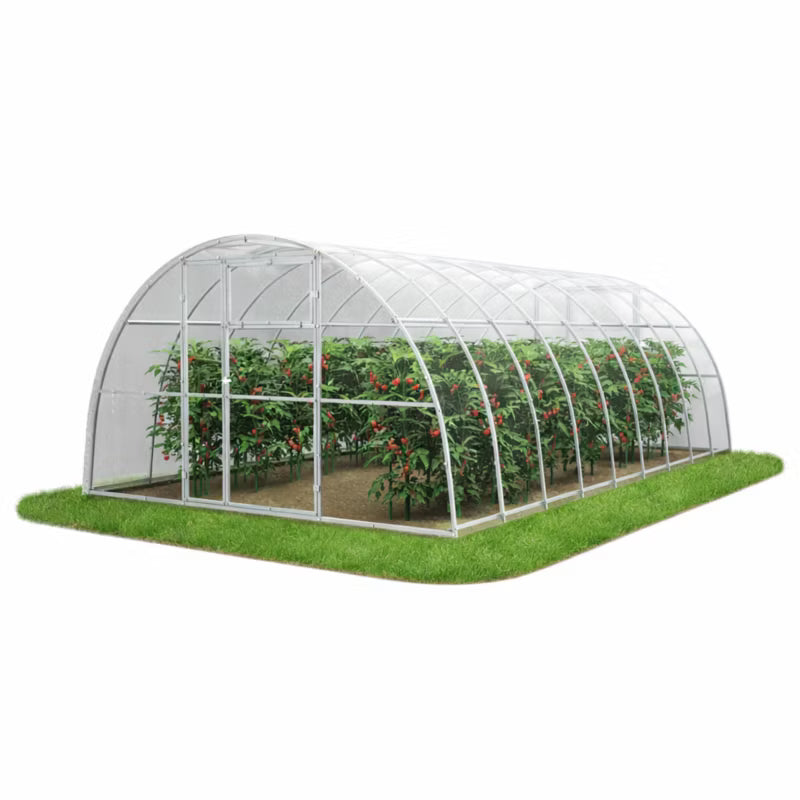 Drivhus i Polycarbonat 350x600 cm Transparent 21 m²