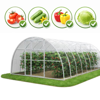 Drivhus i Polycarbonat 350x600 cm Transparent 21 m²