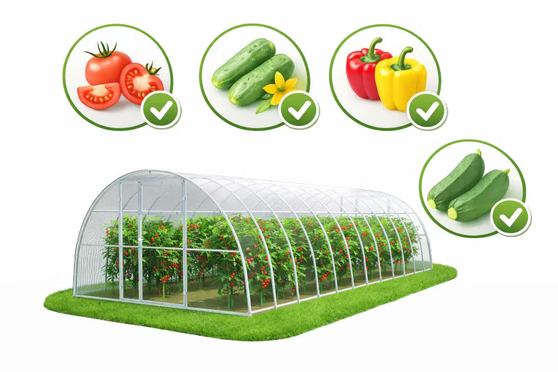 Drivhus 350x800 cm 28 m² Polycarbonat 6 mm