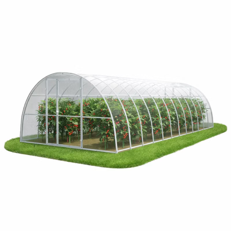Drivhus Polycarbonat 350x800 cm 28 m²