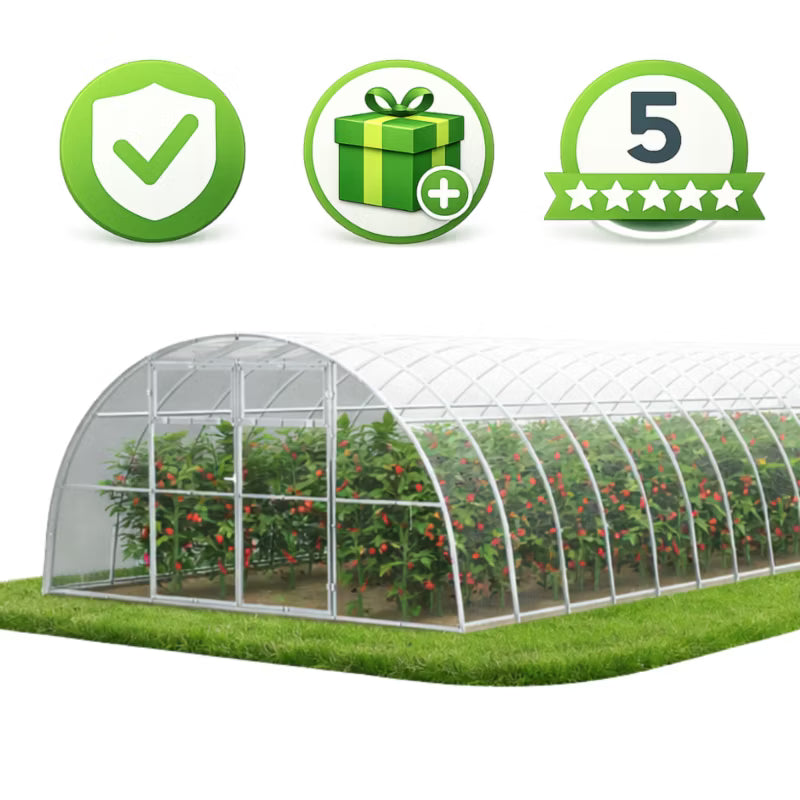 Drivhus i Polycarbonat 400x1000 cm 40 m² Transparent