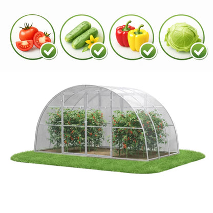 Drivhus i Polycarbonat 400x200x213 cm 8 m² Transparent