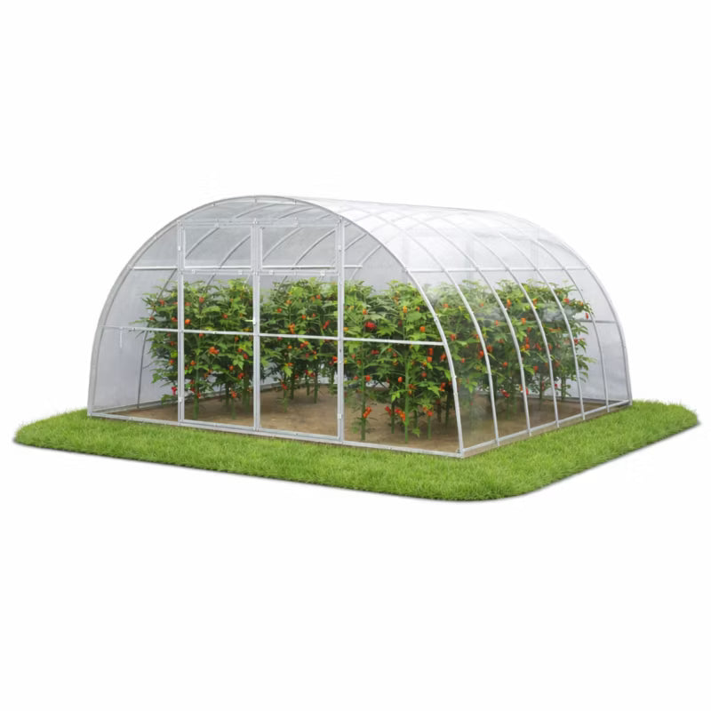 Drivhus i Polycarbonat 400x400 cm 16 m²