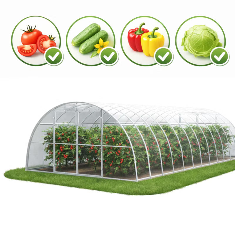 Drivhus i Polycarbonat 400x800 cm 32 m²