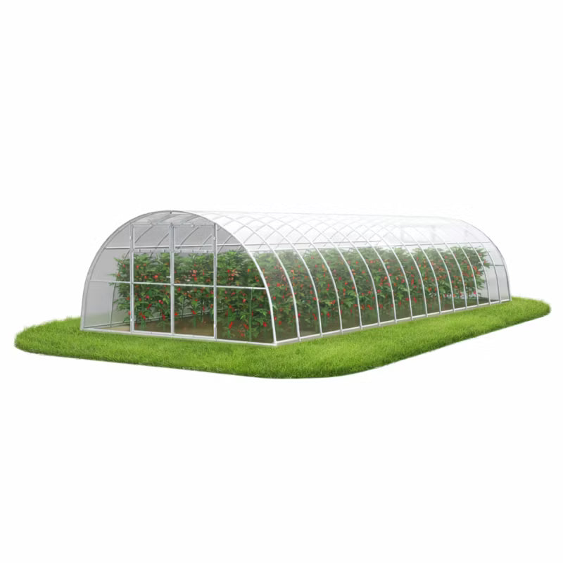 Drivhus 400x1000 cm 40 m² 6 mm Polycarbonat