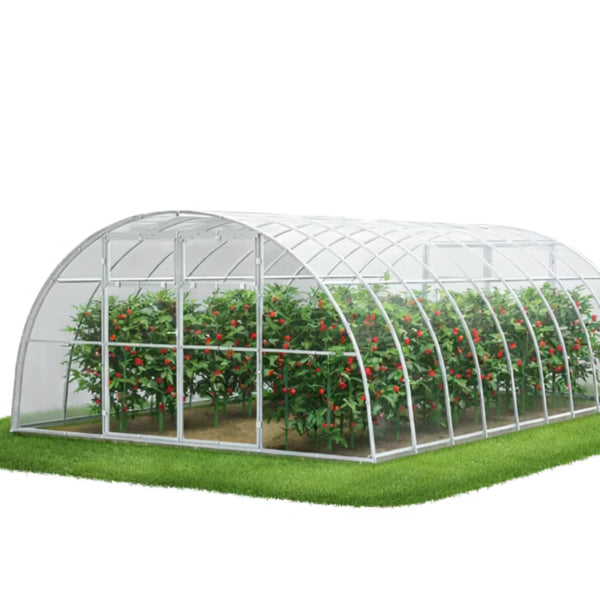 Drivhus i Polycarbonat 4x6 m 24 m² Klar