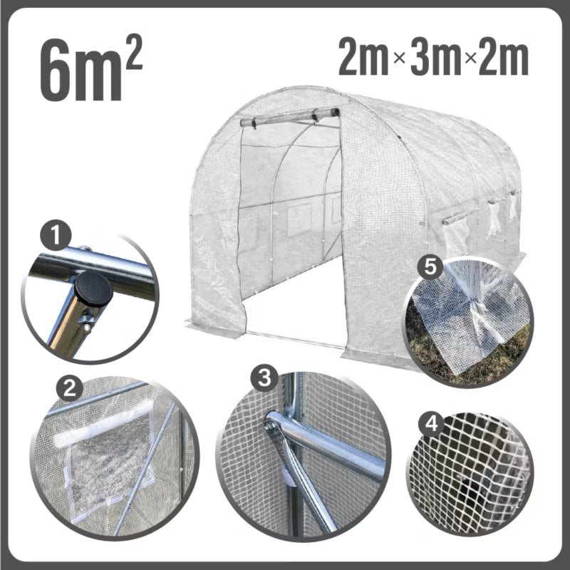 Drivhustunnel 2x3 m Hvid 6 m²