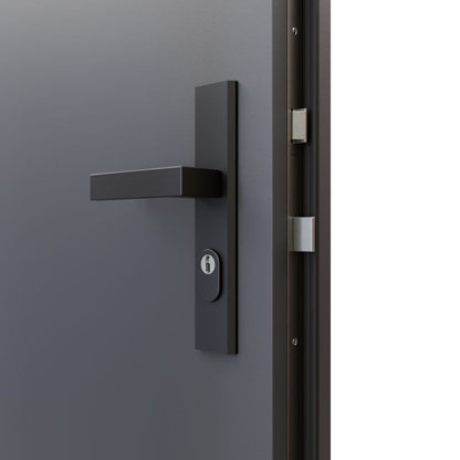 Indgangsdør Fortis RC3 44 dB 80 cm Højre Antracit