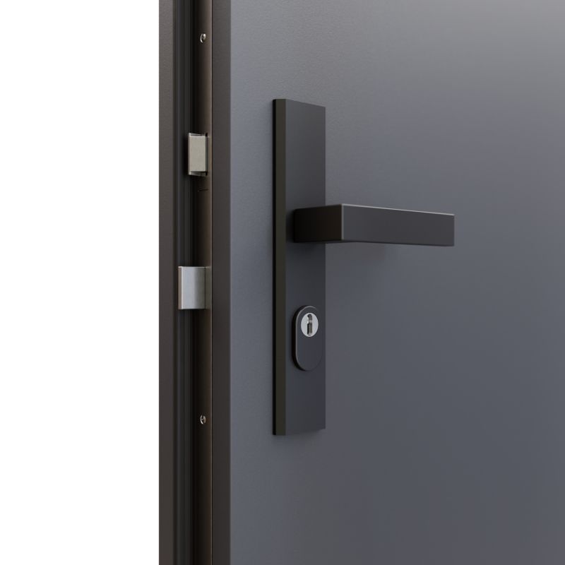 Indgangsdør Fortis RC3 44dB 90 cm Venstre Antracit