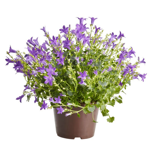 GoodHome Klokke 10,5 cm