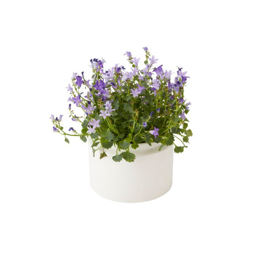 GoodHome klokke 12 cm