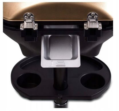 Elektrisk Grill BBQ-9479 46x35 cm Sort og Guld