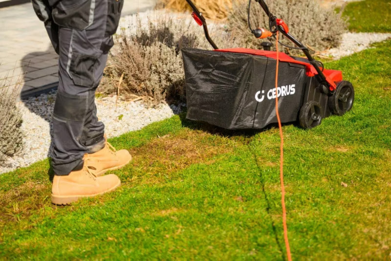 Elektrisk Plænelufter og Vertikalskærer 38 cm 1800W WE38