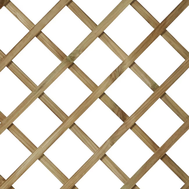 Espalier 180x90 cm Grøn Træ
