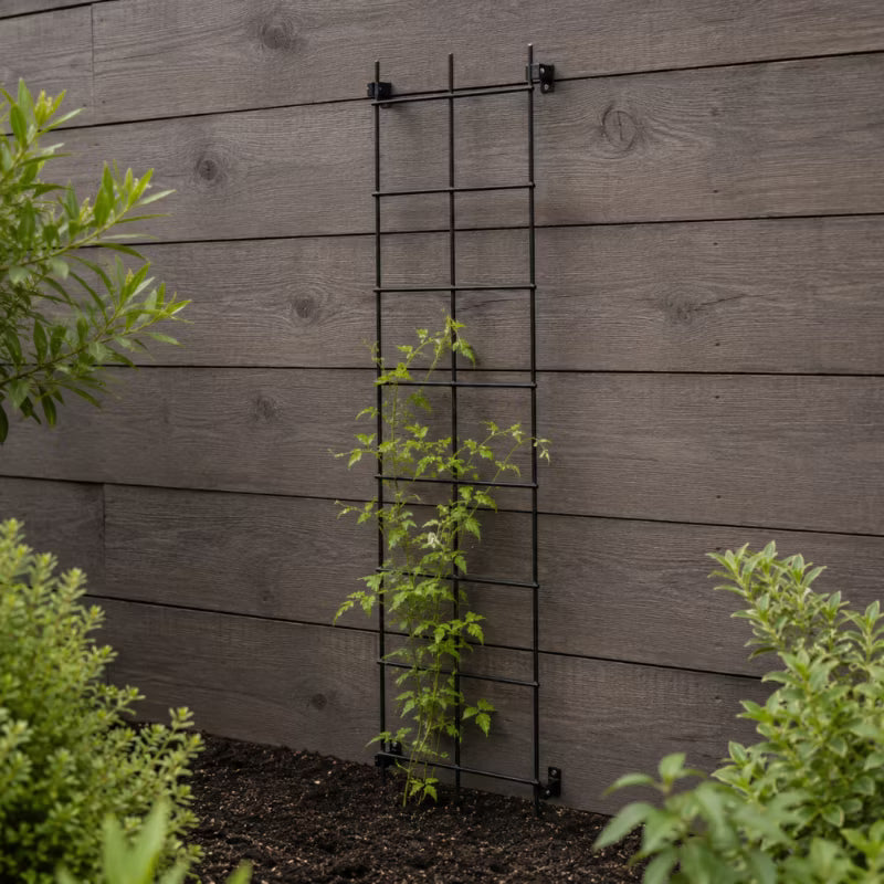 Espalier 35x120 cm Stål