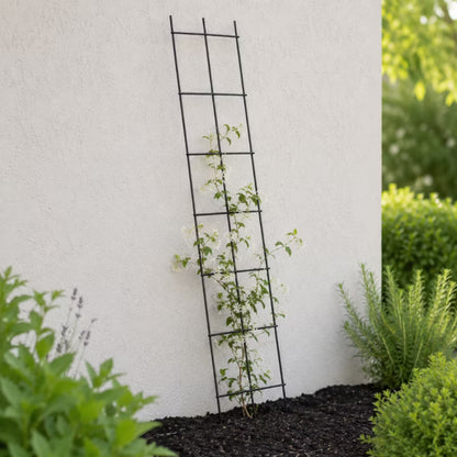 Espalier 35x120 cm Stål
