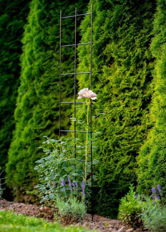 Espalier 35x120 cm Stål
