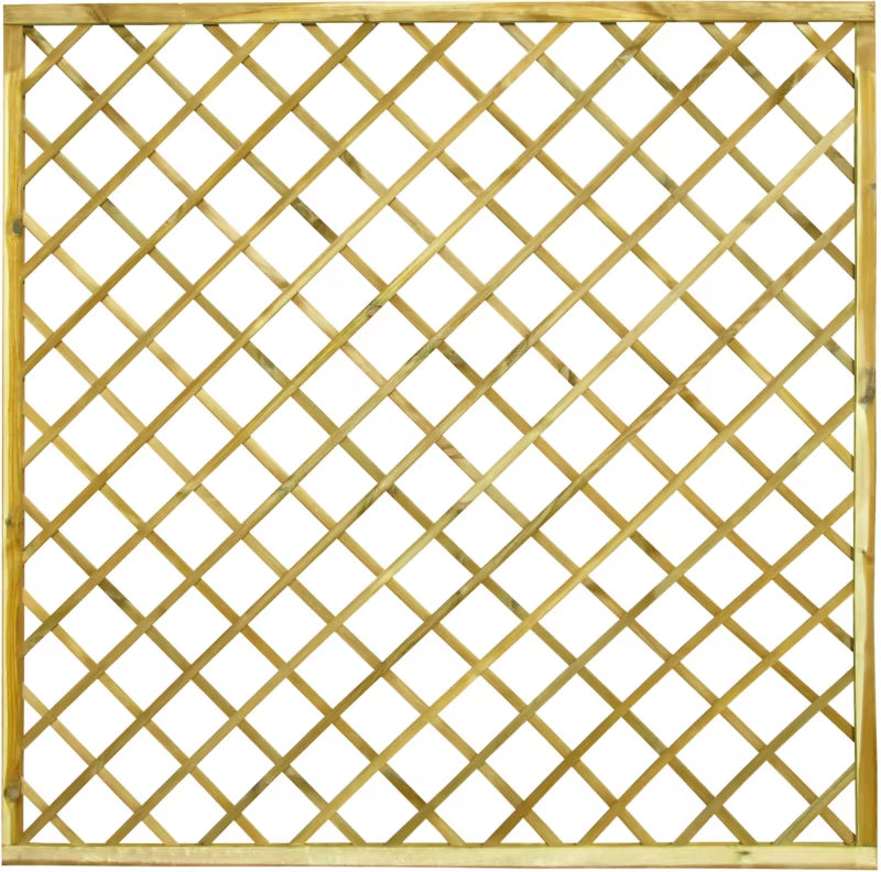 Espalier Hegn 180x180 cm Grøn Fyrretræ