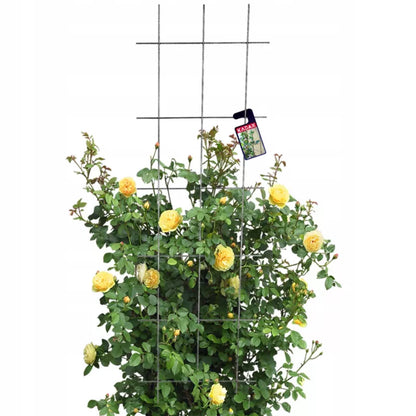 Espalier Stål 45x150 cm Grøn