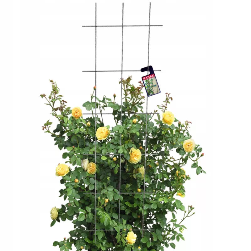 Espalier Stål 45x150 cm Grøn