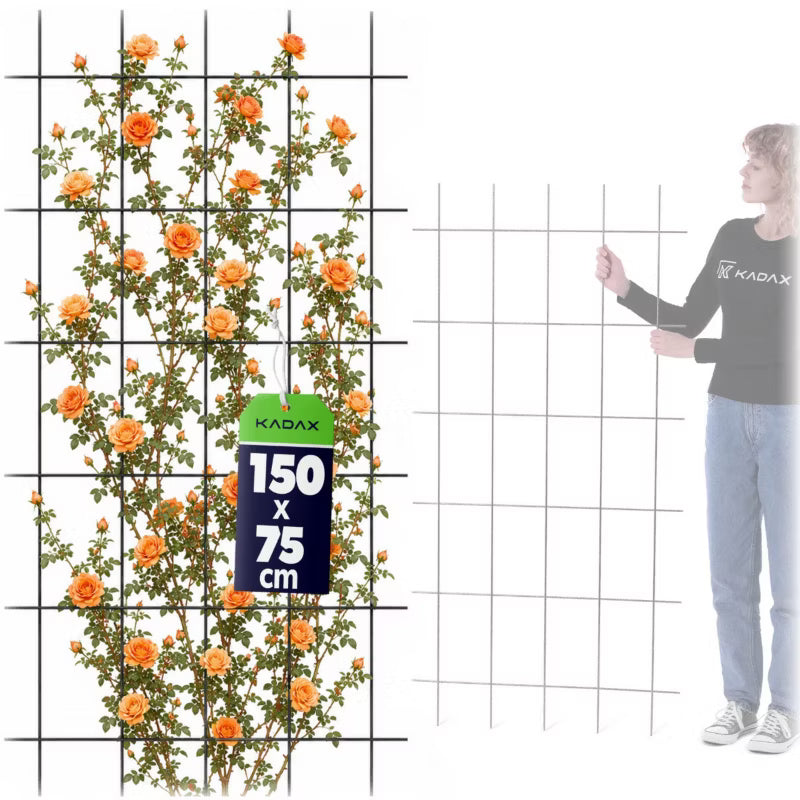 Espalier til Klatreplanter 75x150 cm Stål