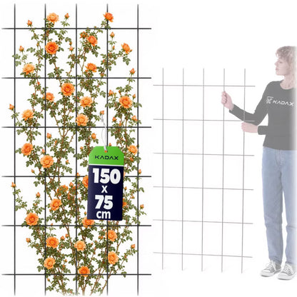 Espalier til Klatreplanter 75x150 cm Stål