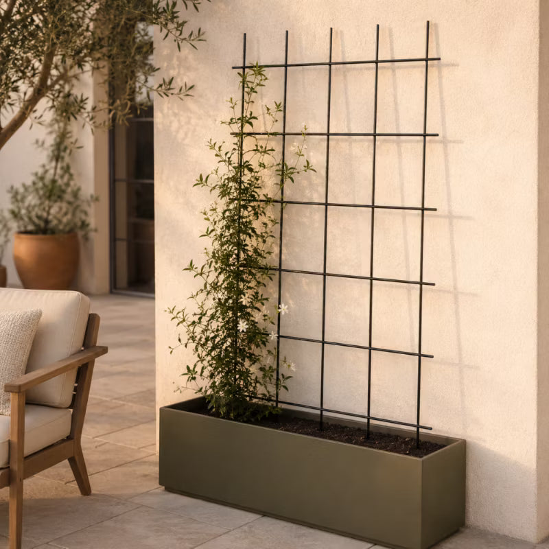 Espalier til Klatreplanter 75x150 cm Stål