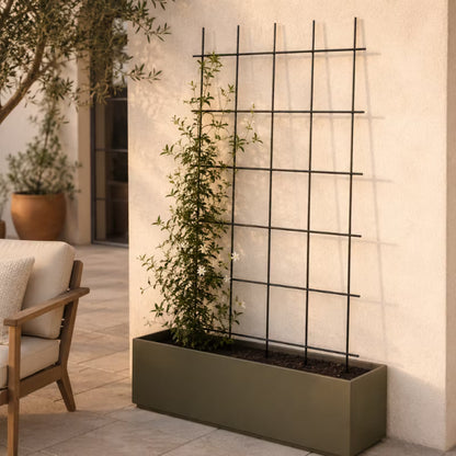 Espalier til Klatreplanter 75x150 cm Stål