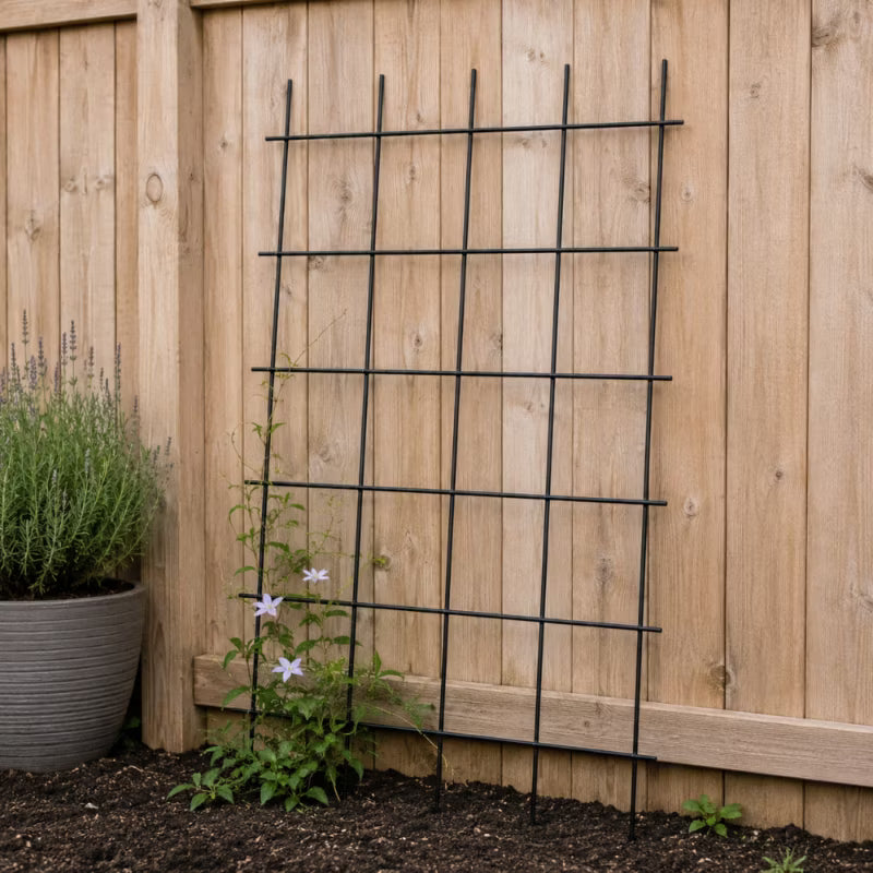 Espalier til Klatreplanter 75x150 cm Stål