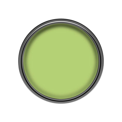 Dulux EasyCare maling i farven Kiwi-fortryllelse 2,5 l