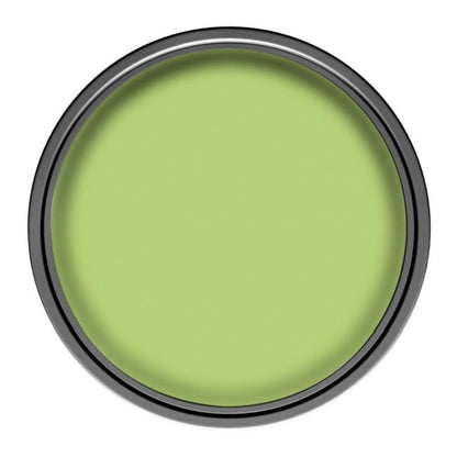 Dulux vægmaling og loftmaling i farven Kiwi-fortryllelse 5 l