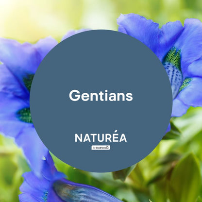 GoodHome Naturea vægmaling og loftmaling Gentians mat 2,5 l