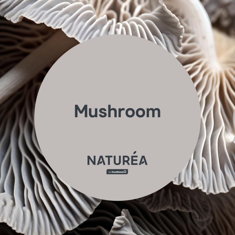 GoodHome Naturea maling til vægge og lofter Mushroom mat 2,5 l