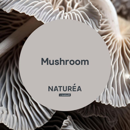 GoodHome Naturea maling til vægge og lofter Mushroom mat 2,5 l