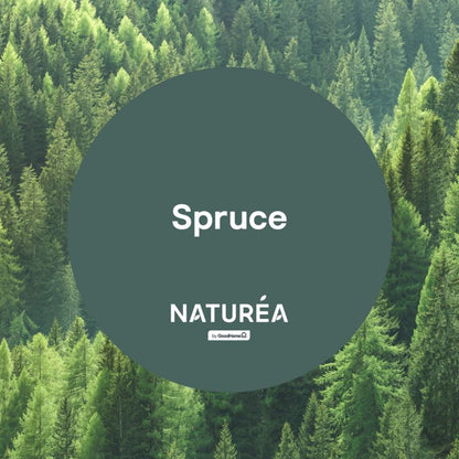 GoodHome Naturea vægmaling og loftsmaling Spruce mat 2,5 l