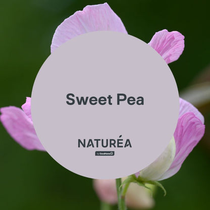 GoodHome Naturea vægmaling og loftmaling Sweet Pea mat 2,5 l