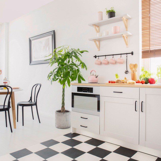 Dekoral Akrylit W indendørs latexmaling snehvid mat 10 l + 20 % ekstra