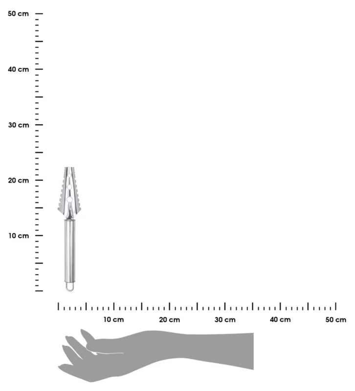 Fiskeskælser 22,5 cm Rustfrit Stål