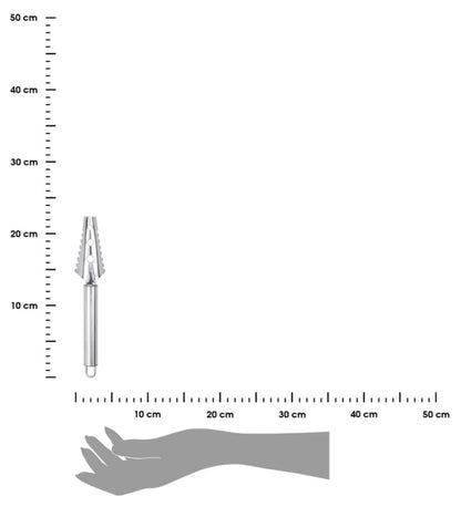 Fiskeskælser 22,5 cm Rustfrit Stål