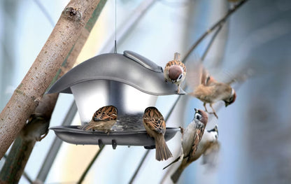 Foderbræt IBFS 25x18 cm Antracit