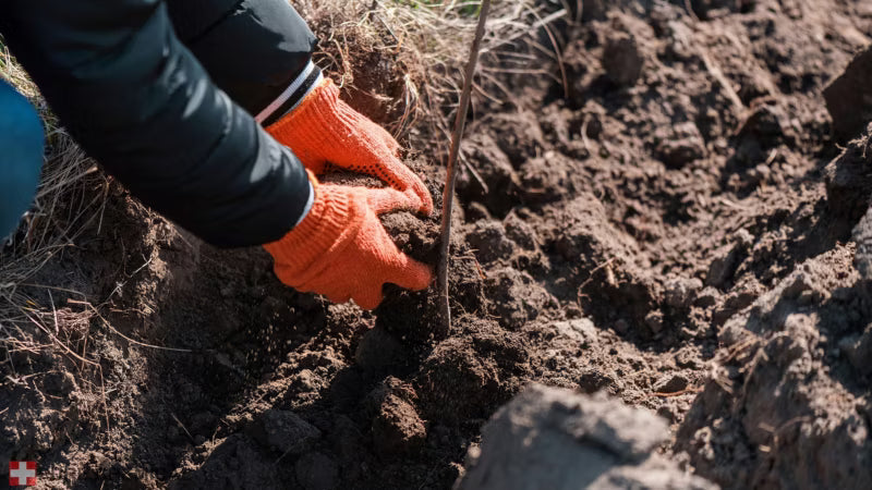 Formalet Svovl Pulver 25 kg Gul