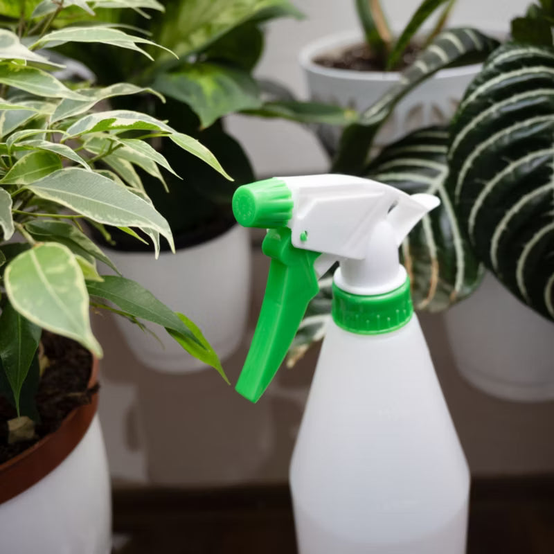 Forstøver 500 ml Transparent Plast