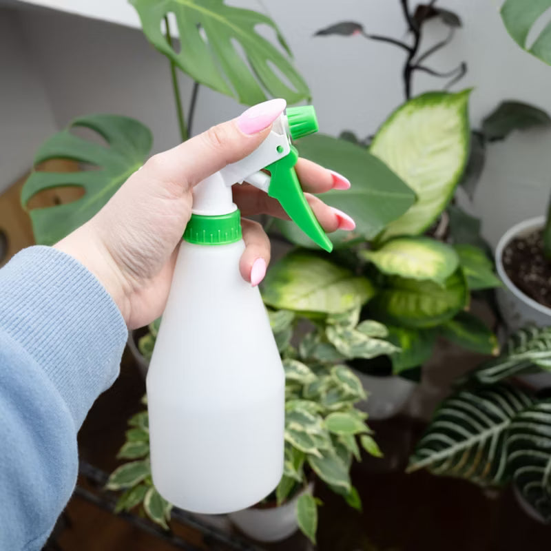Forstøver 500 ml Transparent Plast