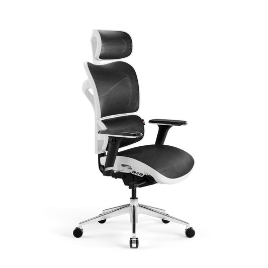 https://media2.castorama.pl/is/image/CastoramaPL/fotel-biurowy-ergonomiczny-diablo-v-commander-czarno-bia-y-1-szt~5902560338140_01c_MP?$MOB_PREV$&$width=2400&$height=2400