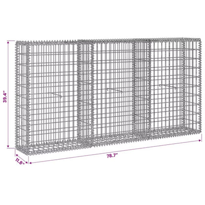 Gabion 200x30x100 cm Galvaniseret Stål