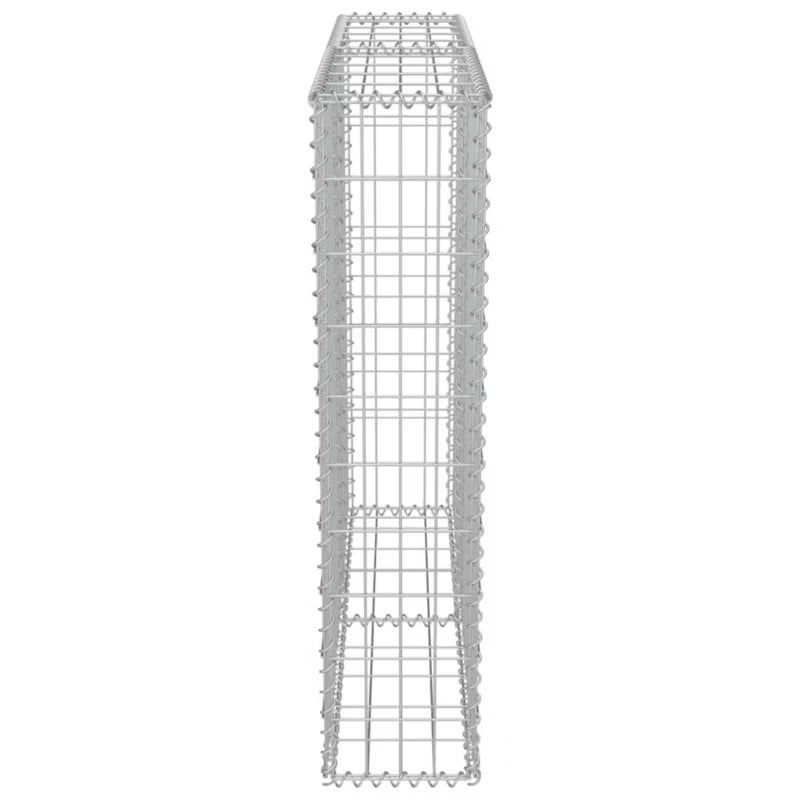 Gabionhegn 100x20x100 cm Galvaniseret Stål
