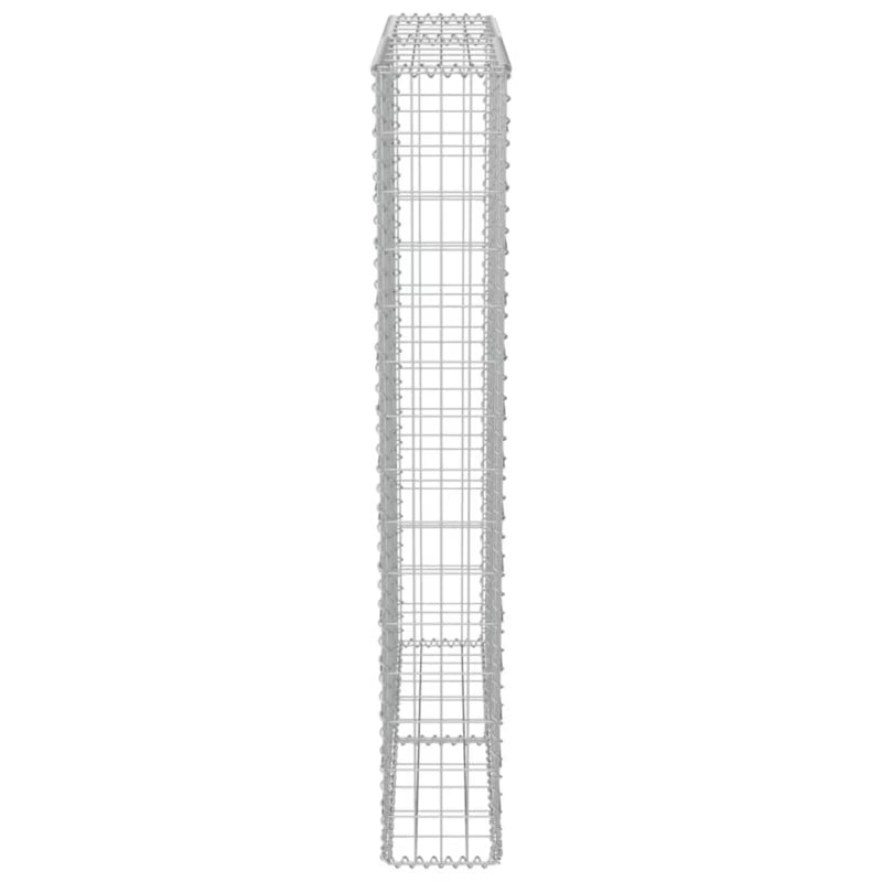 Gabionhegn 100x20x150 cm Galvaniseret Stål