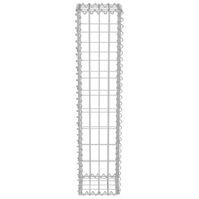 Gabionhegn 20x20x100 cm Galvaniseret Stål